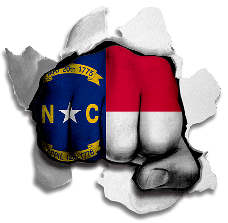 Fist North Carolina State Flag Logo vinyl decal